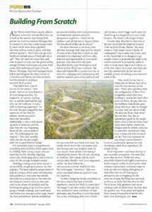 Building From Scratch